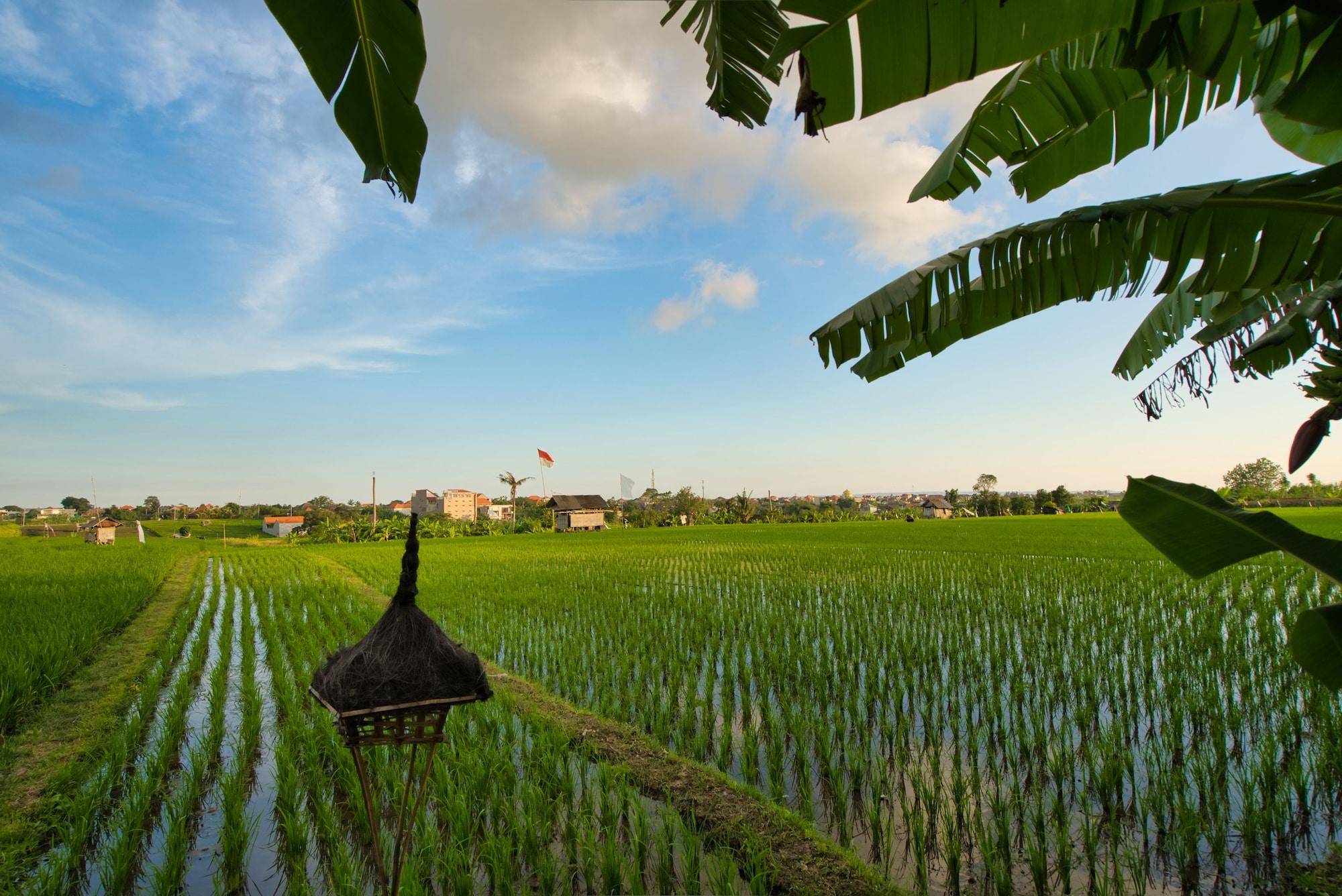 Sotis Villas Canggu Buitenkant foto